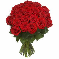 Un bouquet de roses d'un rouge intense (tiges courtes) livraison a Morges
